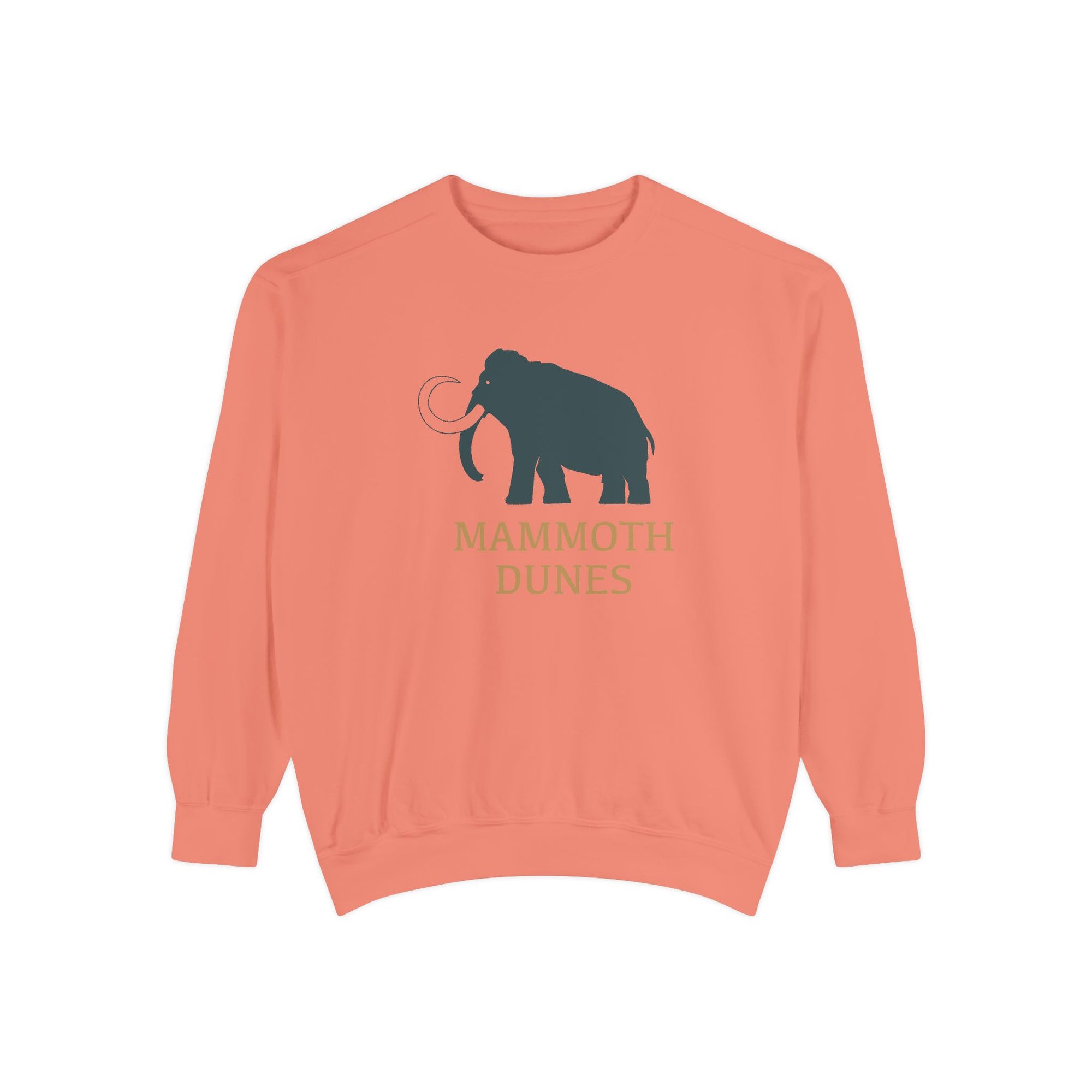 Unisex Garment-Dyed Sweatshirt