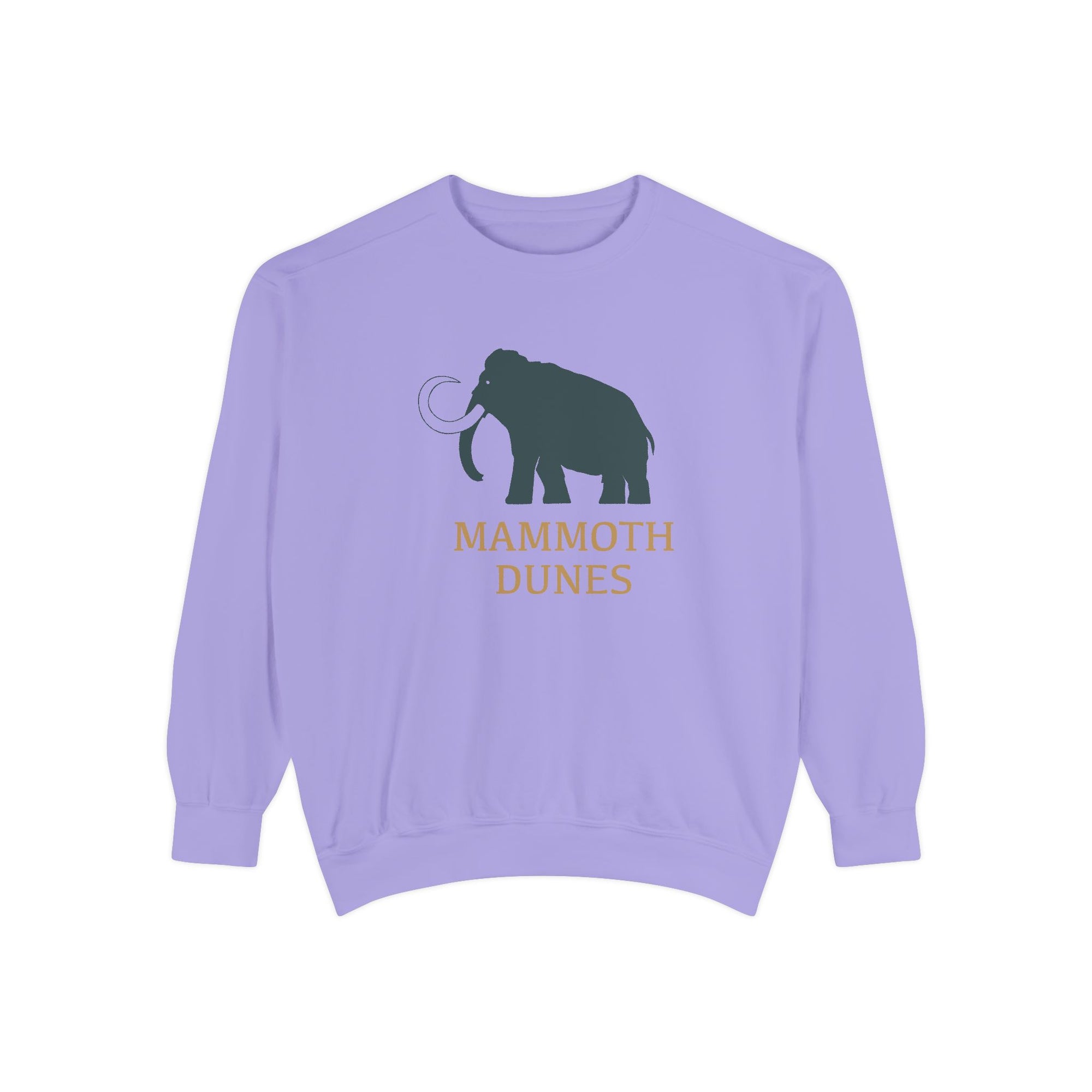 Unisex Garment-Dyed Sweatshirt