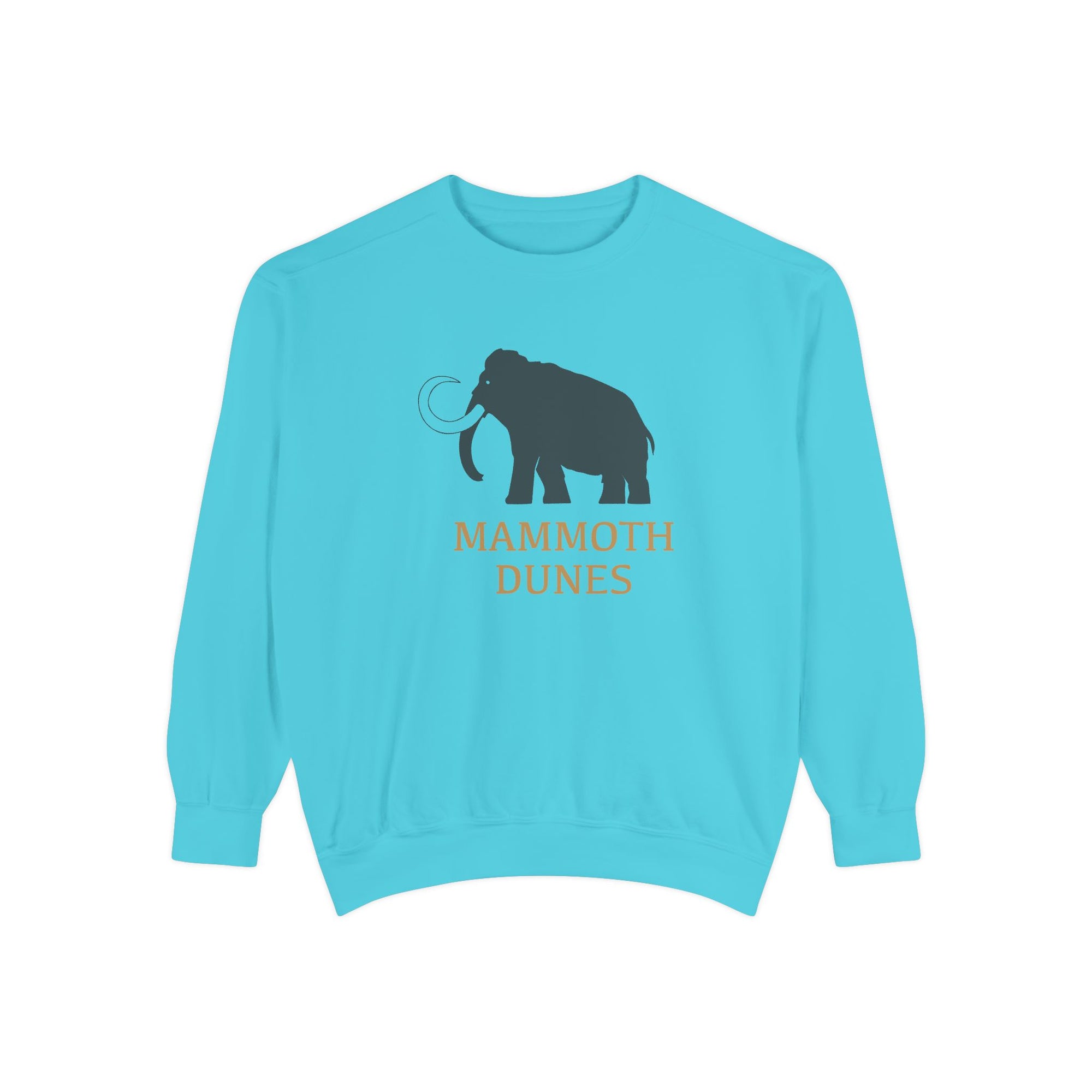 Unisex Garment-Dyed Sweatshirt