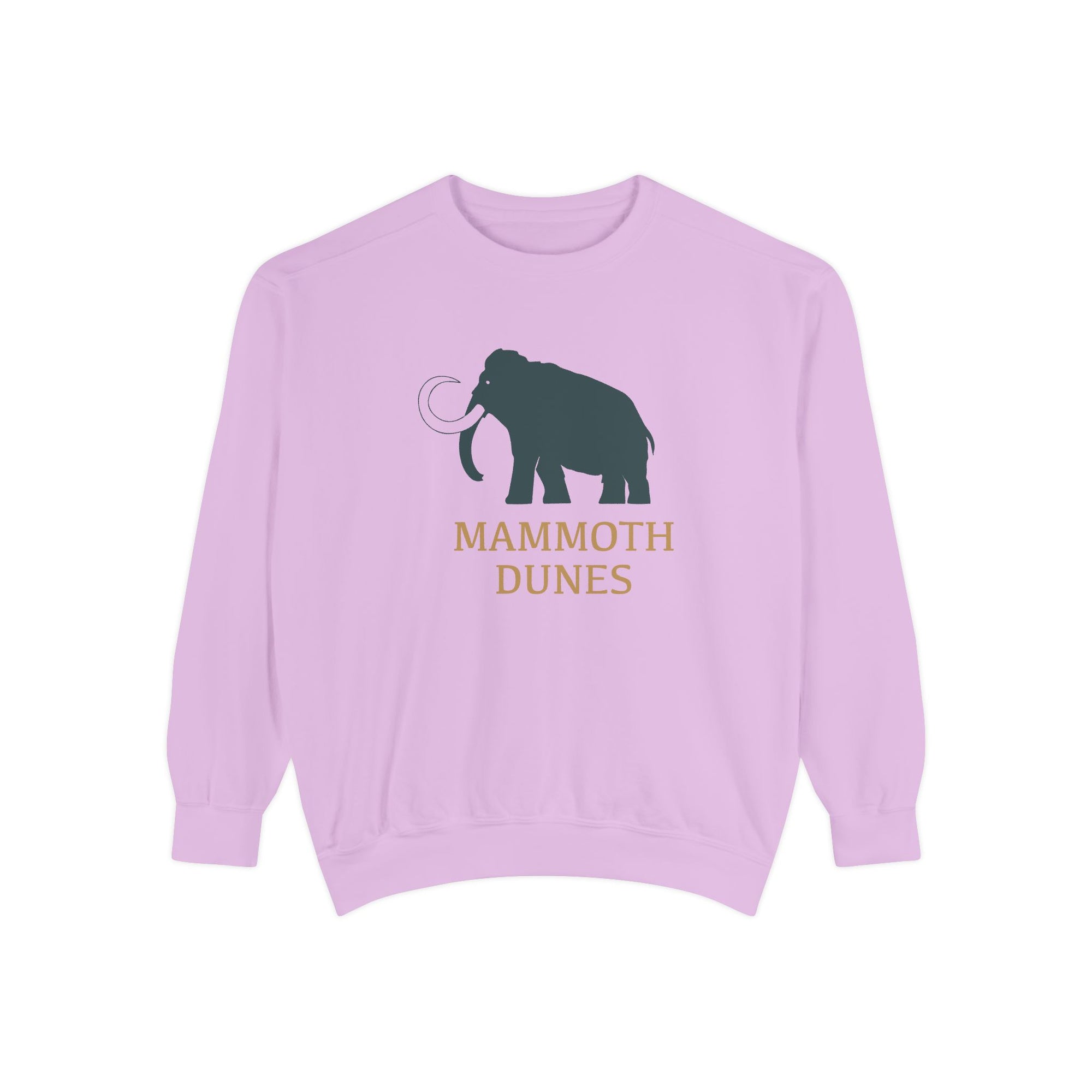 Unisex Garment-Dyed Sweatshirt